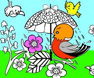 Bird Coloring